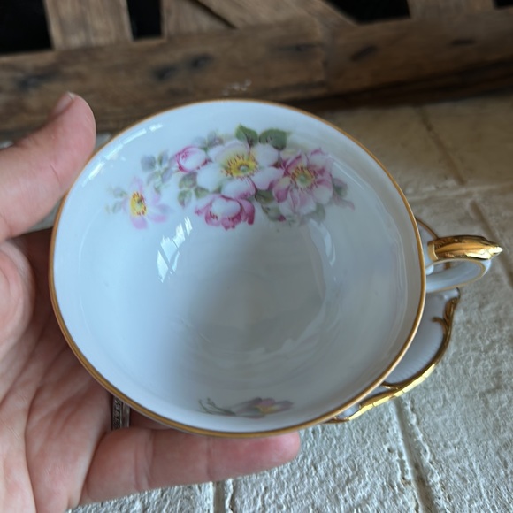 Bavaria Schumann Arzberg Wild Rose Teacup & Saucer - Picture 3 of 7